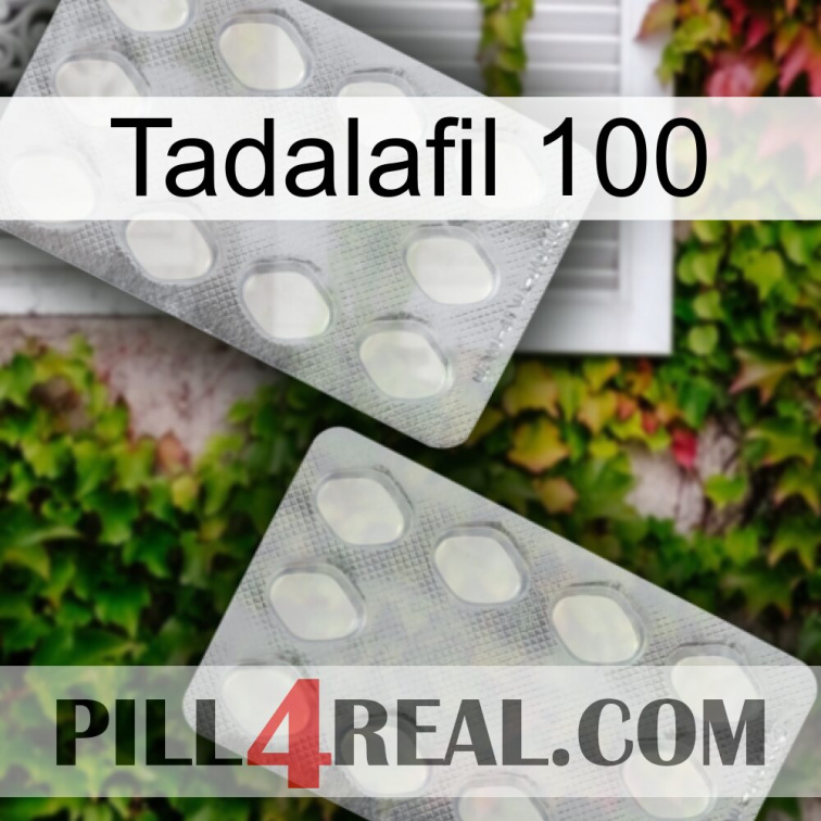 Tadalafil 100 17